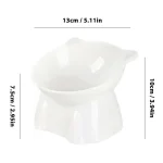 Raised Tilted Cat Bowls Non Slip Elevated Food Dish 6 | PricZone