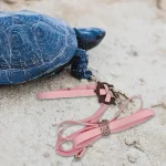 Adjustable PU Leather Turtle Harness with Leash 1 | PricZone