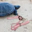 Adjustable PU Leather Turtle Harness with Leash