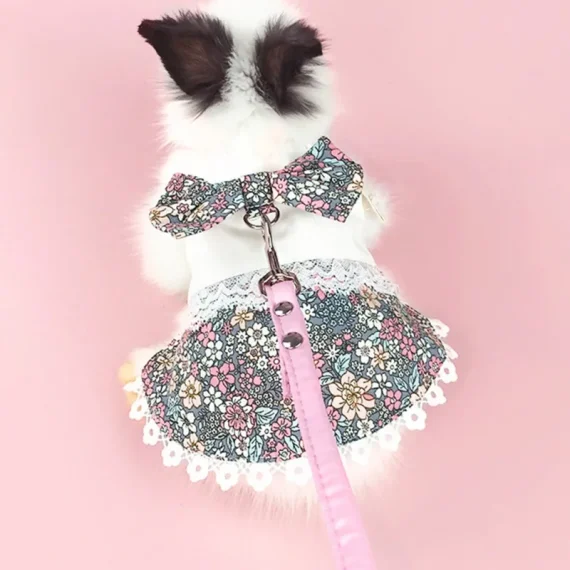 Adorable Bunny Harness Leash Set with Skirt 6 | PricZone