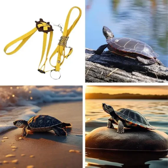 Adjustable PU Leather Turtle Harness with Leash 4 | PricZone