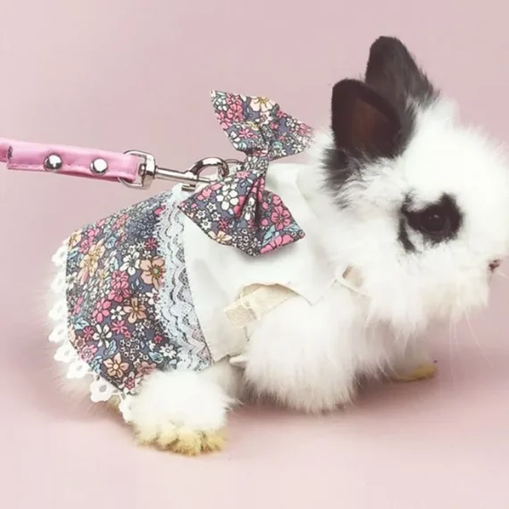 Adorable Bunny Harness Leash Set with Skirt 5 | PricZone