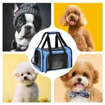 Breathable Foldable Pet Carrier for Cats and Dogs 5 | PricZone