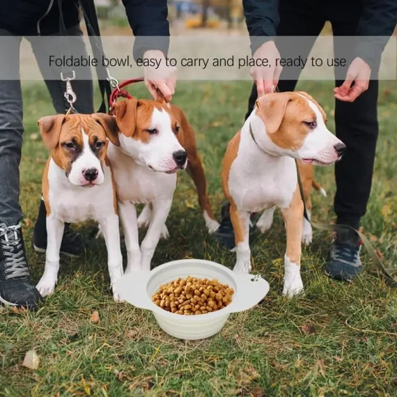 Collapsible Silicone Dog Bowl 600ml Portable Dish 3 | PricZone