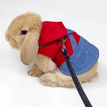 Rabbit Clothes Denim Jacket Harness and Leash Set 1