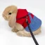 Rabbit Clothes Denim Jacket Harness and Leash Set