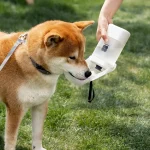 Portable Dog Water Bottle for Small Pets Leak Proof 4 | PricZone