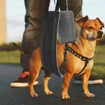 Dog Sling Hip Support Harness for Back Legs Mobility 2 | PricZone