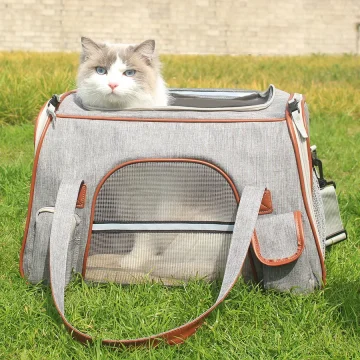 Foldable Pet Carrier with Breathable Mesh 1