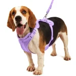 Adjustable Dog Harness Set No Pull with Lead for Medium Dogs 2 | PricZone