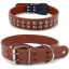 Rivets Cowhide Dog Collar and Leash for Large Dogs