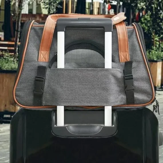 Foldable Pet Carrier with Breathable Mesh 3 | PricZone