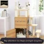 Modern Cat Tree With Litter Box Enclosure and Hammock