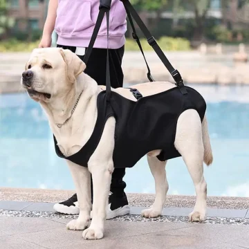 Dog Support Harness for Mobility with Adjustable Strap 2