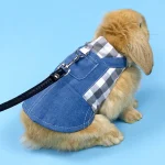 Rabbit Clothes Denim Jacket Harness and Leash Set 2 | PricZone