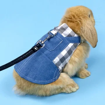 Rabbit Clothes Denim Jacket Harness and Leash Set 2