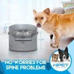 Large Automatic Dog Water Fountain 8L with Splatter Guard 3 | PricZone