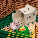 Double decker Hamster House with Ladder and Habitat 2 | PricZone