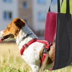 Dog Sling Hip Support Harness for Back Legs Mobility 4 | PricZone