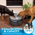 Large Automatic Dog Water Fountain 8L with Splatter Guard 2 | PricZone