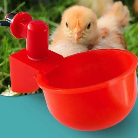 Chicken Water Cups Automatic Feeder Drink Fountain 3 | PricZone