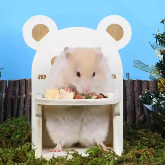 Handmade Wooden Hamster Dining Chair Habitat Decor 2 | PricZone