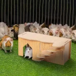 Wooden Hamster House Multi Chamber Habitat Hut 5 | PricZone