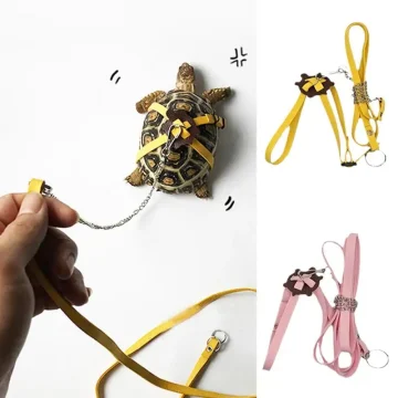 Turtle Harness Leash Outdoor Soft PU Leather Strap 2