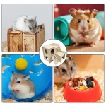 Wooden Hamster Hideout Maze and Habitat Hut 5 | PricZone