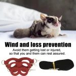 Sugar Gliders Vest Leash Adjustable Harness Set 4 | PricZone