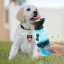 Portable Dog Water Bottle Travel Dispenser for Pets