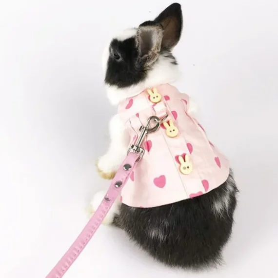 Adorable Bunny Harness Leash Set with Skirt 3 | PricZone