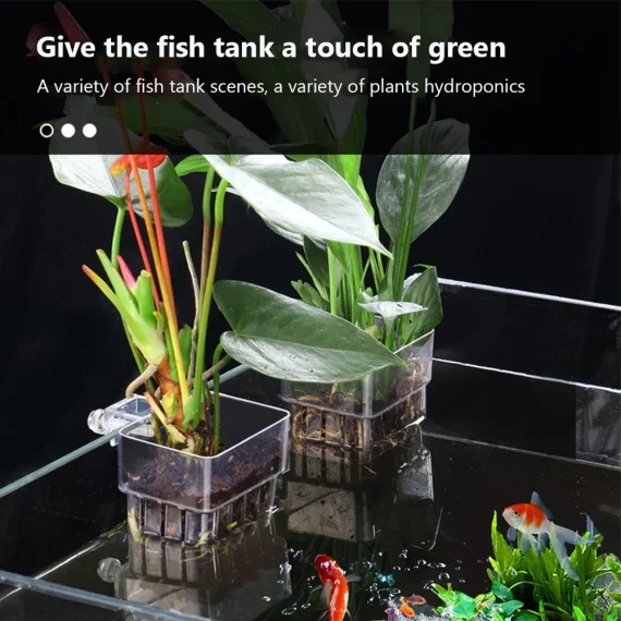 Transparent Aquarium Plant Basket Hanging Planter 4 | PricZone