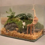 Natural Driftwood Cuckoo Roots Aquarium Decor 4 | PricZone