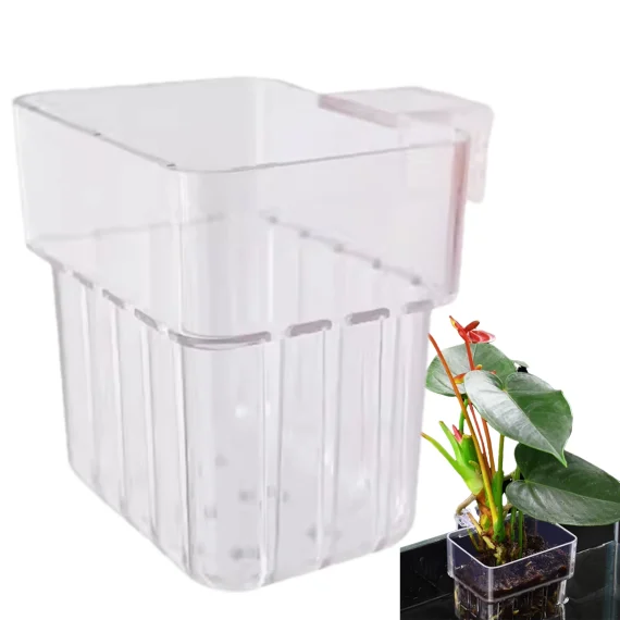 Transparent Aquarium Plant Holder  Fish Tank Planter 3 | PricZone