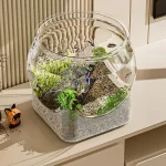 Clear Round Fish Bowl Aquarium Tank Vase 1