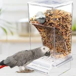 Acrylic Anti Spill Parrot Feeder and Drinker 3 | PricZone