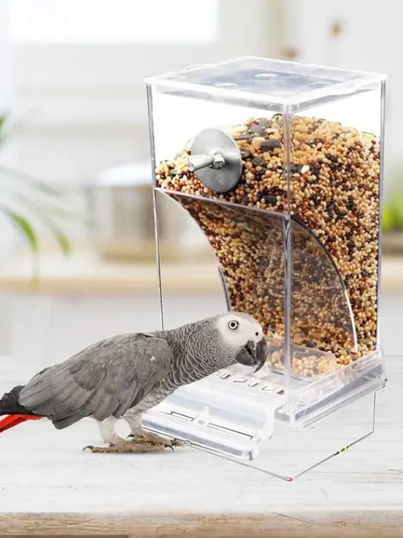 Acrylic Anti Spill Parrot Feeder and Drinker 3 | PricZone