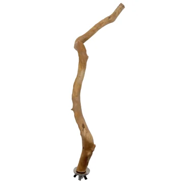 30cm Natural Grape Wood Bird Perch for Parrots 1 | PricZone