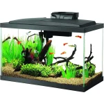 10-Gallon Aqueon Aquarium Starter Kit with LED 1