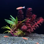 Artificial Aquarium Plants   Plastic Aquatic Decor 4 | PricZone