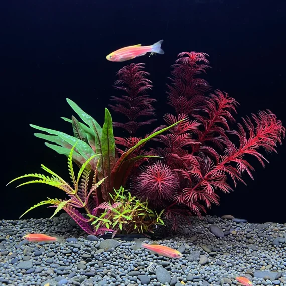 Artificial Aquarium Plants   Plastic Aquatic Decor 4 | PricZone