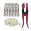 100-Pack Cow Ear Tags with Pliers for Farm Use