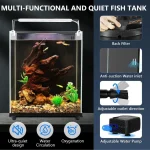 Small Rimless Fish Tank Starter Kit with Filter and LED 3