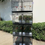 Set of 4 Stackable Breeding Cages for Small Birds   Black 1 | PricZone