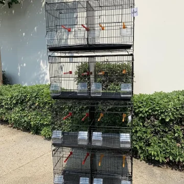 Set of 4 Stackable Breeding Cages for Small Birds - Black 1