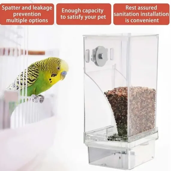 Automatic No Mess Parrot Feeder   Acrylic Bird Cage 3 | PricZone