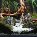 Natural Driftwood Cuckoo Roots Aquarium Decor 5 | PricZone