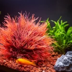 Artificial Aquarium Plants Fish Tank Decorations 2 | PricZone