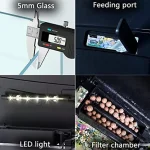 Glass Fish Tank Starter Kit 4.35 Gallon Betta Desktop Aquarium Mini Bowl Shrimp with LED Pump Oxygen Pump Air Intake Water 5